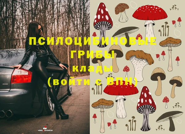 каннабис Лабытнанги